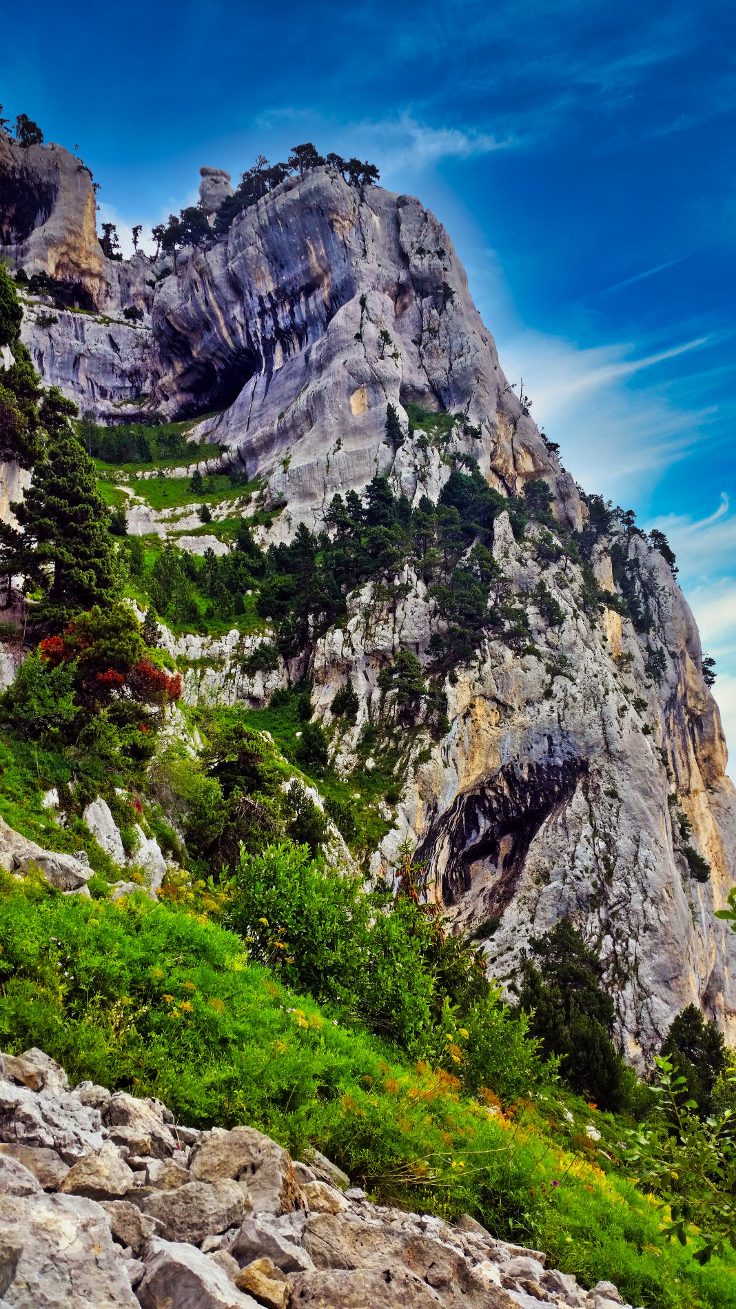 Falaise de l'Aulp du Seuil Randonnée et paysages du massif de la Chartreuse par BAW